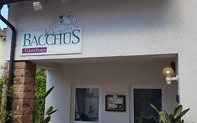 Gaestehaus Bacchus
