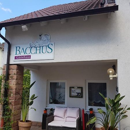 Gaestehaus Bacchus Wachenheim an der Weinstraße Exterior photo