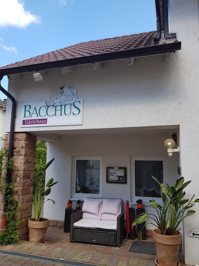 Gaestehaus Bacchus Wachenheim an der Weinstraße Exterior photo